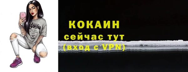 PSILOCYBIN Дмитровск