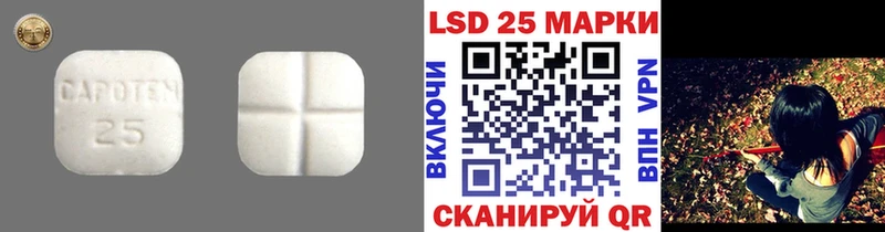 LSD-25 экстази кислота  Камышлов 